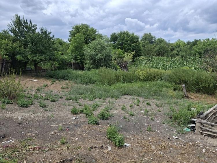 Casă cu 2 camere în Central