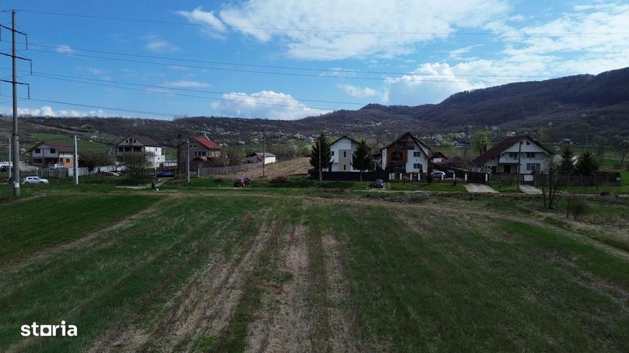 Teren / Jiblea Noua / Calimanesti / - 4