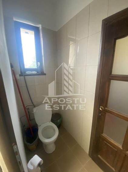 Casa în Dumbrăvița cu teren de 3039 mp și Front Stradal de 40 ml - 2