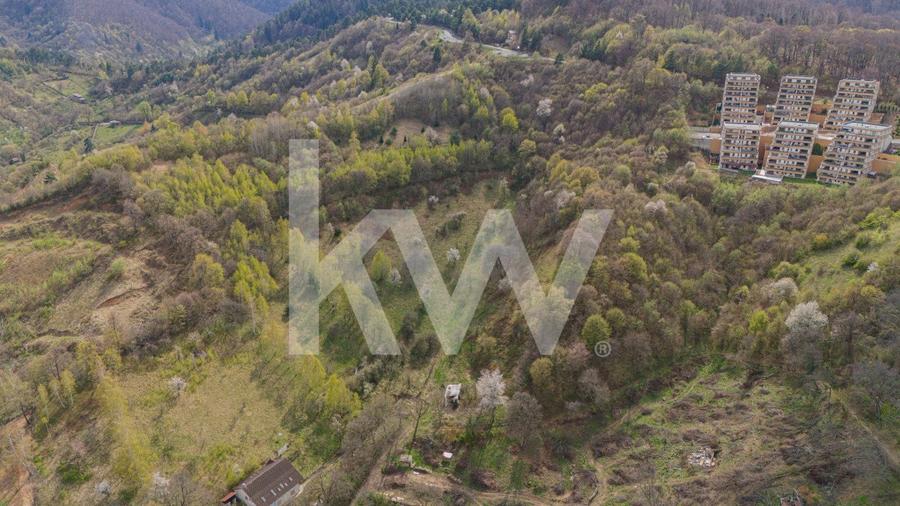 Teren Drumul Poienii - Seasons Residence - 9