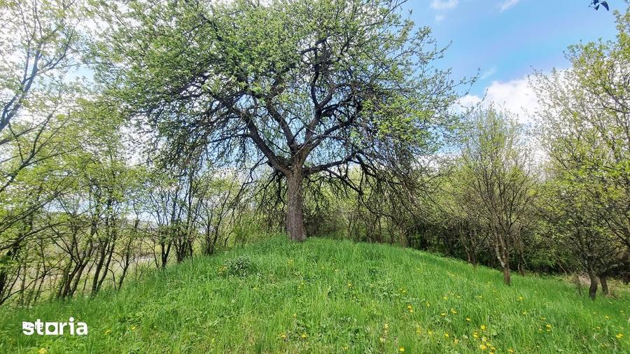 Casă cu 1 camere cu Teren 3750 Mp în Ciurila
