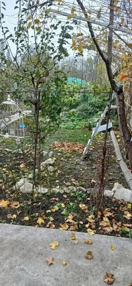Casă cu 3 camere cu Teren 1000 Mp în Central