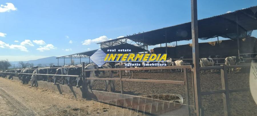 Casă individuală cu 20 camere cu Teren 35000 Mp în Pianu