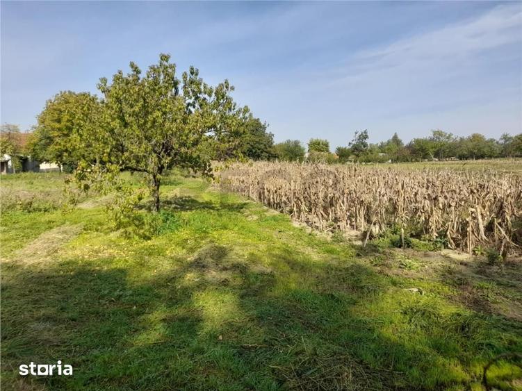Casă cu 2 camere cu Teren 4960 Mp în Abram
