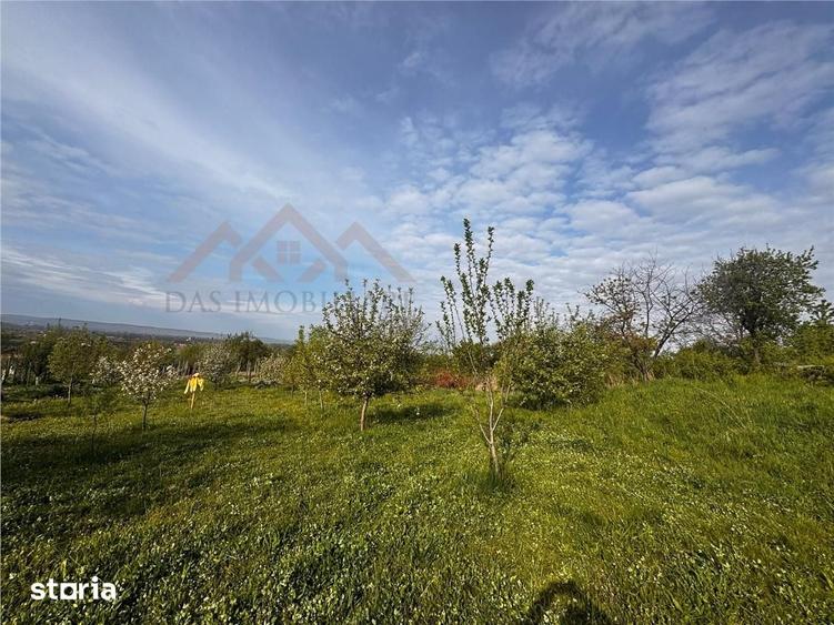 Casă cu 4 camere cu Teren 2341 Mp în Cicârlău
