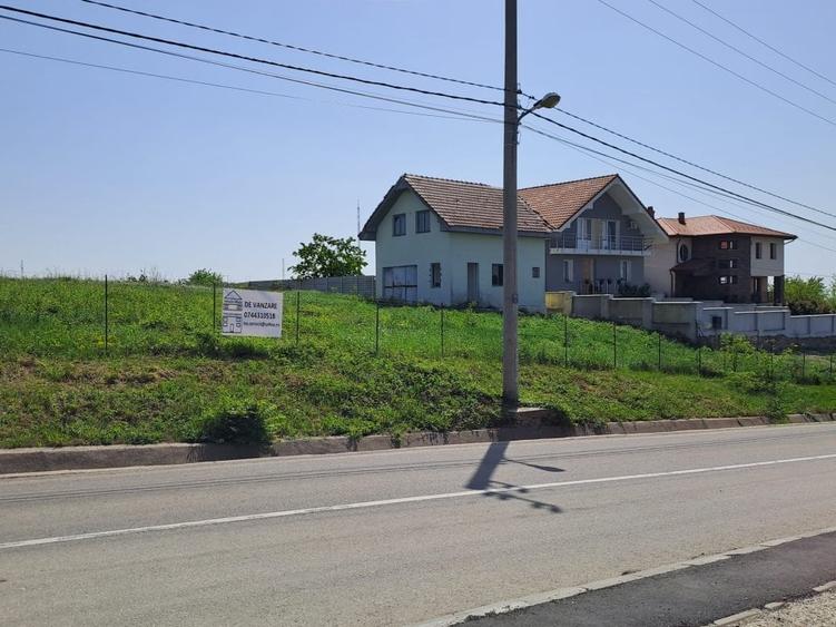 Teren intravilan pentru investitii - 5