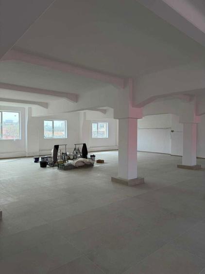 Spatii comerciale / depozitare de inchiriat Viilor 56, Sector 5 - 2