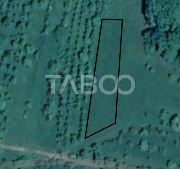 Teren pretabil cabana sau gradina 1670 mp zona deosebita Sibiel - 1