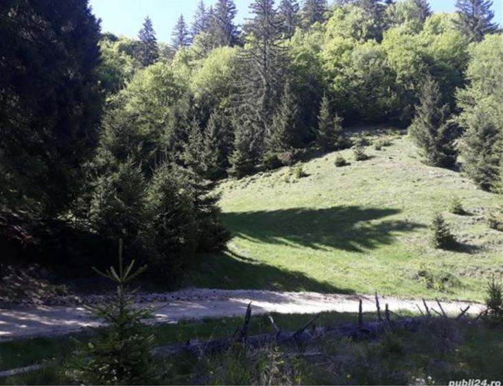 Teren intravilan Poiana Brasov - 8