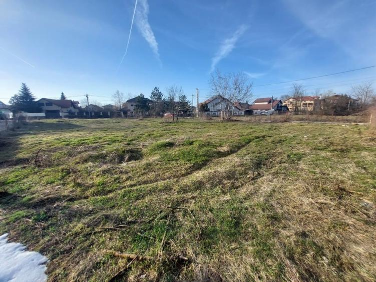 1570 mp Teren de vanzare in Mogosoaia - 3