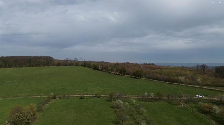 Teren intravilan 5800 mp Mitocasi - Suceava! - 14