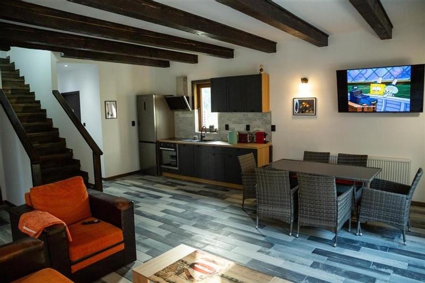 De vanzare 2 vile deosebite cu activitate hoteliera in zona turistica din jud. M - 8