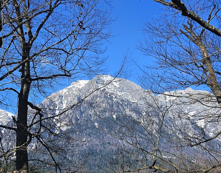 Vanzare vila Busteni, P+1+M / Zamora / pensiune / comision 0% - 9