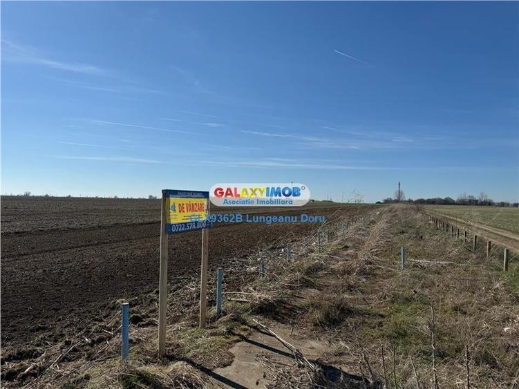 Teren intravilan 47.400 mp, Vama Veche, 200 m de Marea Neagra - 12