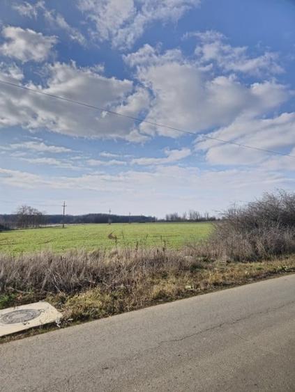 Teren de vanzare in Silistea Snagovului - 13.800 mp. - 1