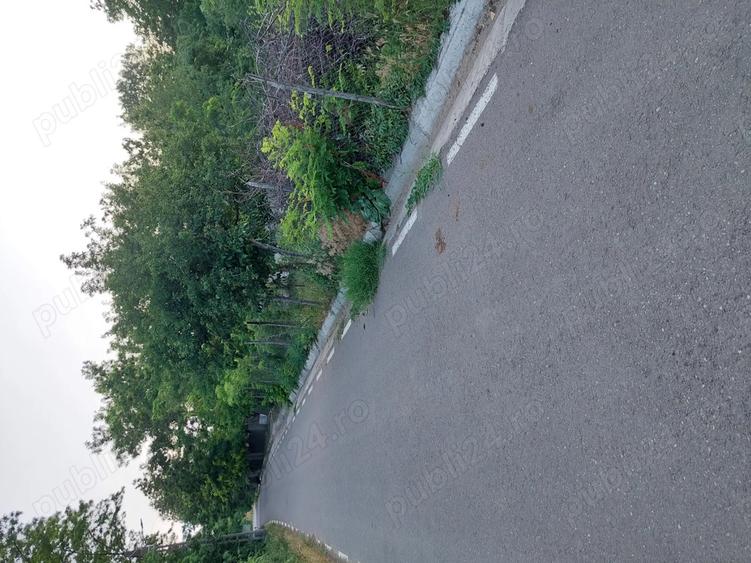 Vand casa cu teren - 4