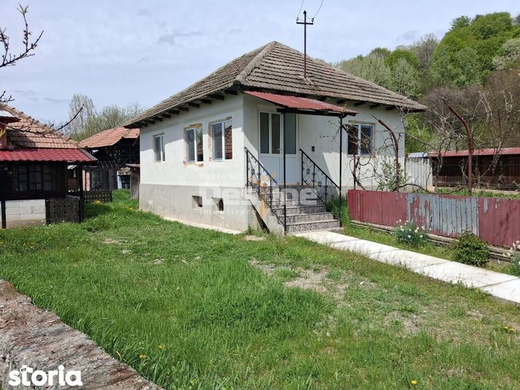 Casa renovata complet, 3068 mp teren, langa Manastirea Surpatele-Valce - 7