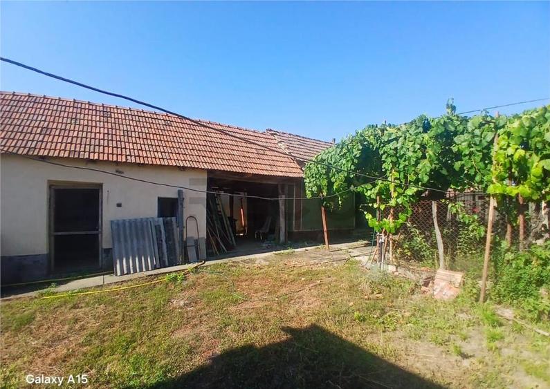 RECO Casa de in Fegernic cu 2541mp teren - 8