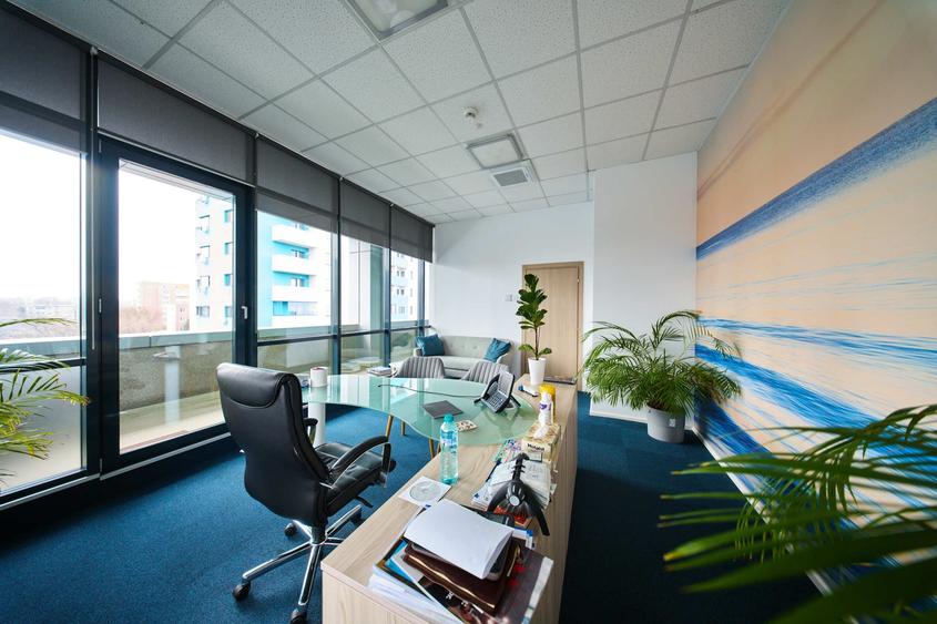 Birouri cu depozit de închiriat - 33