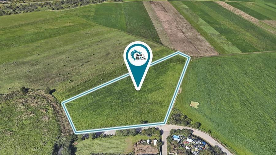 Teren de 11500 mp pentru Complex Reziden?ial in Sannicolau Mic - 2