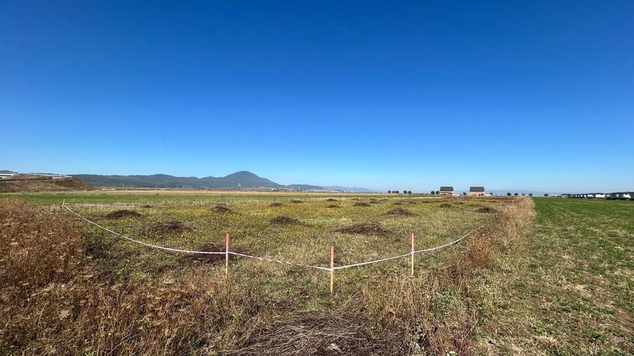 Teren Intravilan Cristian - 4