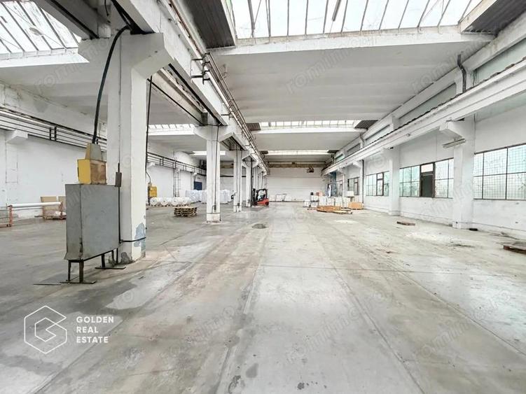 Hala industriala cu pod rulant, Sanicolau Mic, suprafata 1.187 mp - 5