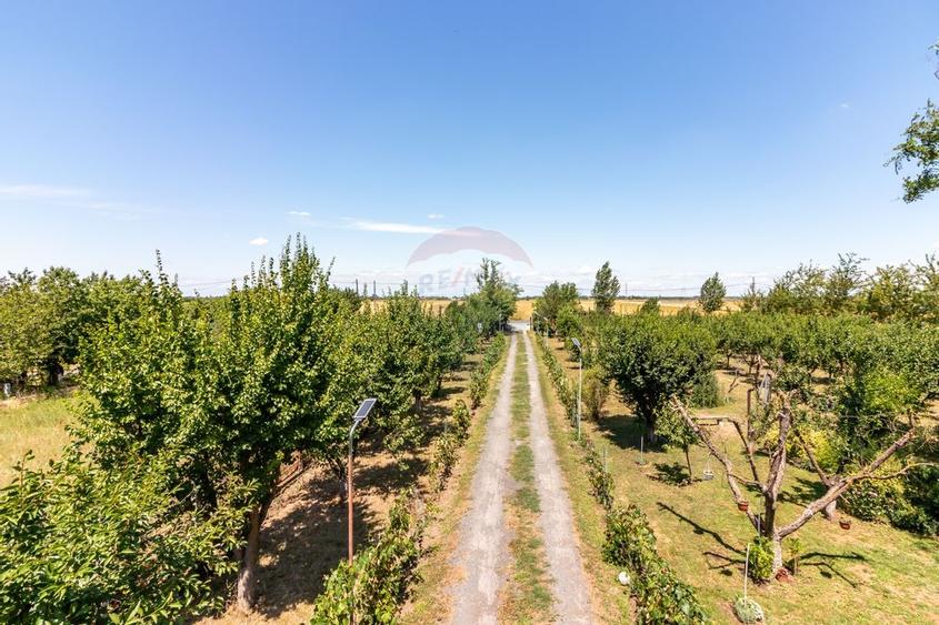 Casa+Laborator+ Teren 12.700 mp + casa de vacanta - Bolintin Vale - 30