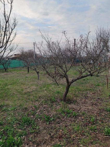Casa de vanzare Toporu jud Giurgiu - 2