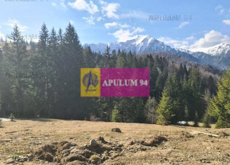 Teren de v&acirc;nzare &icirc;n Predeal - Zona Forban - 6