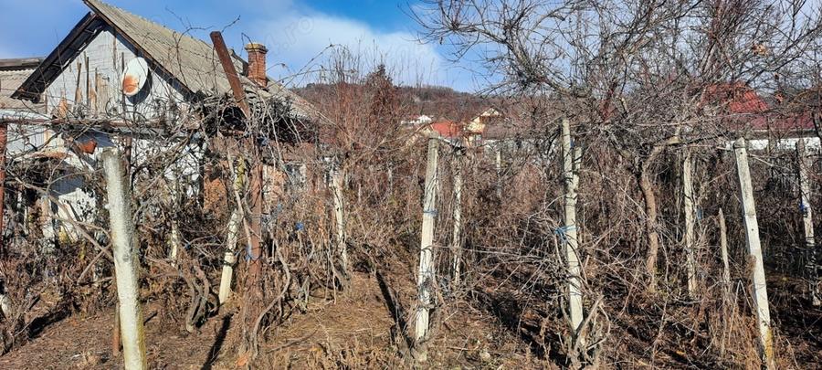 Teren ?i casa de vazare - 1