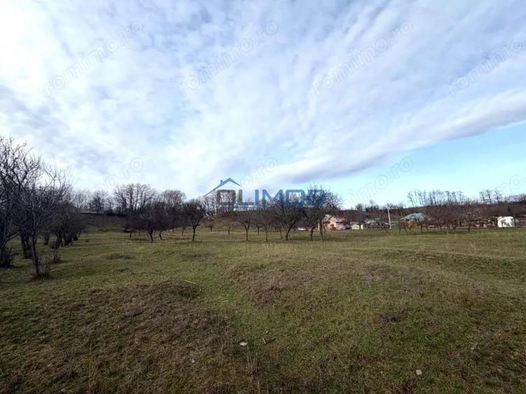 Valenii de Munte | 9123 mp | deschidere 45 - 13