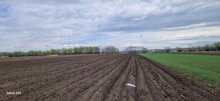 Teren extravilan - 8