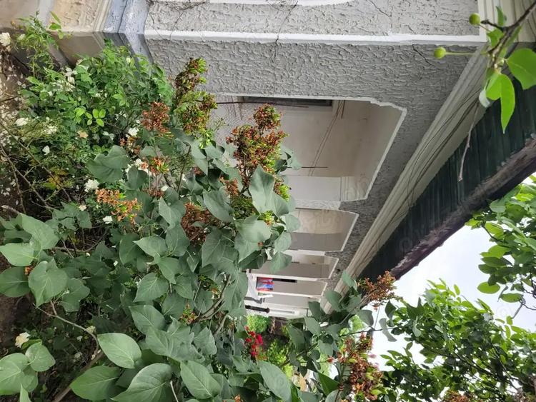 Casa cu teren aproape de Bucure?ti la 15 minute! - 4