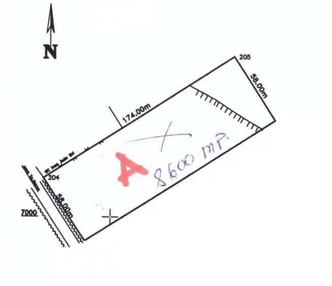 Vanzare teren intravilan 8600 mp, Corunca - 1