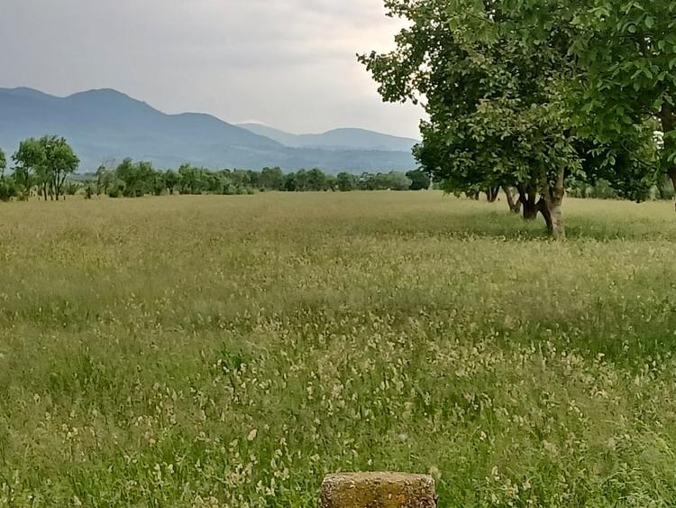 Teren intravilan Rasnov - 9