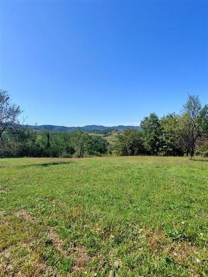 Teren intravilan 8757 mp cu potential turistic si acces direct la E79 - 9