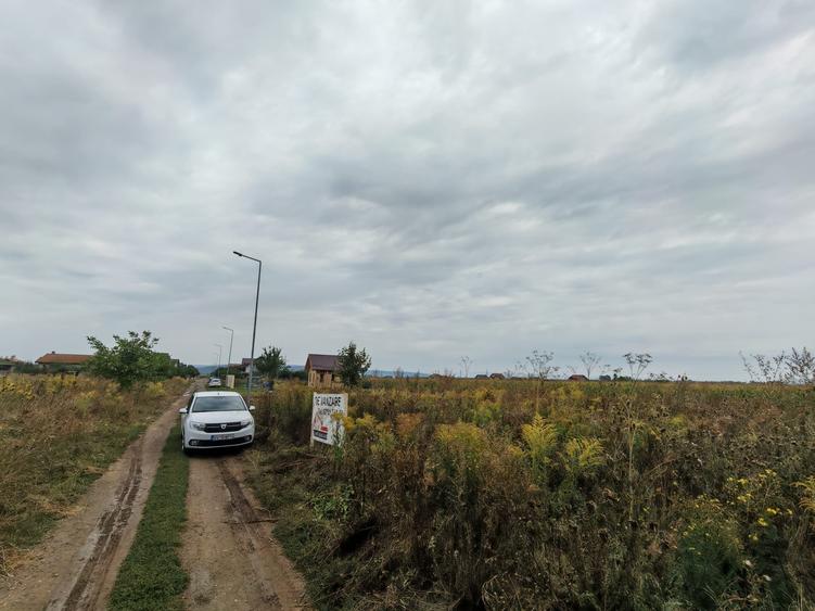 Teren de Casa - Harman - Brasov - 8