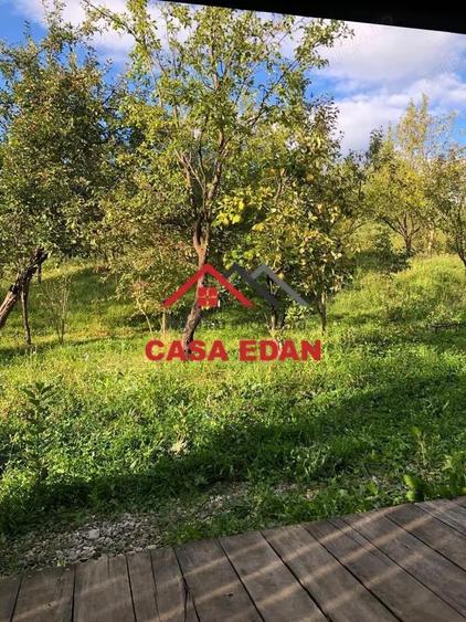 Teren extravilan in Brebu(Pietriceaua)--9104mp--50.000e - 6