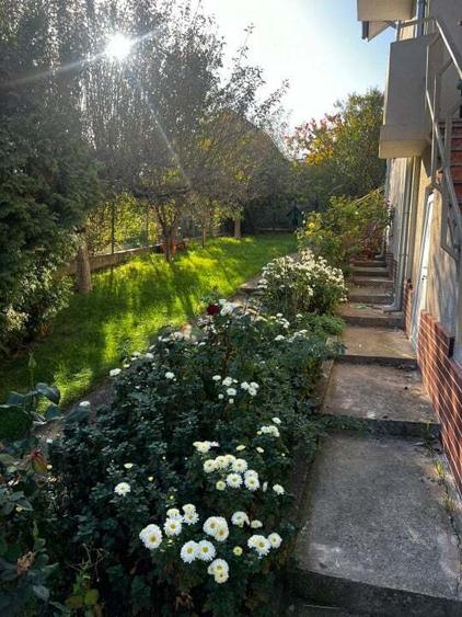 Vila Trivale - zona Capitol, mobilata si utilata - 8