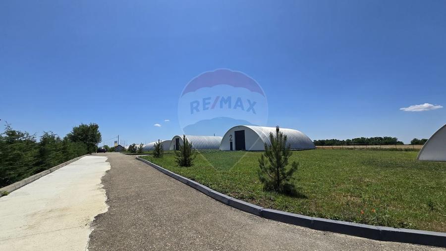 DE VANZARE | Hale | 1407mp | Teren 9344 | Potigrafu - 3