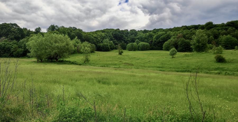 Teren la padure, panoramic dealuri si paduri, curent si asfalt - 10
