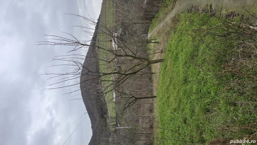 Casa de vanzare Babadag - 2