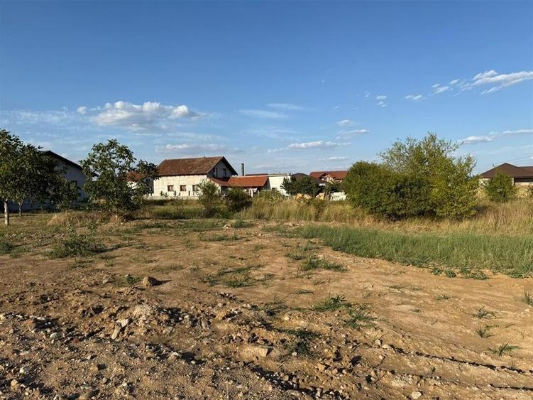 RECO Teren Intravilan Osorhei - 3