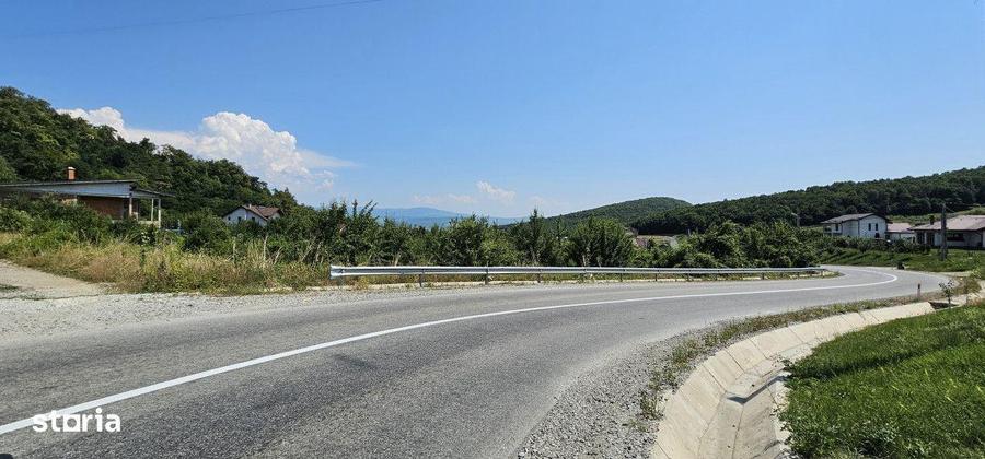 1300mp de Teren in Valea Jelnei, Bistrita - 2