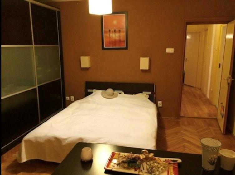 Apartament 3 camere Iancului - 3