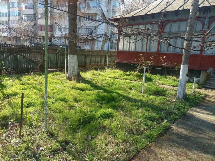 Casa + 1000mp teren Piatra Neamt - 2