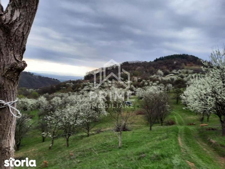 TEREN INTRAVILAN 13700 MP, INURI, VINTU DE JOS - 1