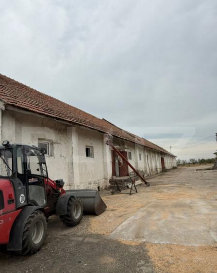 Ferma de Vanzare in judetul Timis, la nord est de Timisoara, - 4