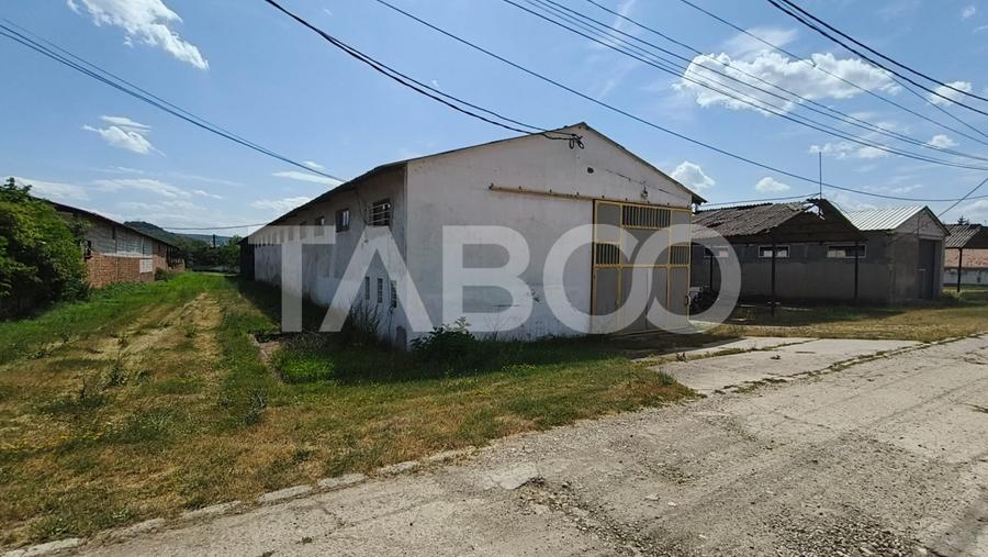 Platforma industriala cu cladiri de vanzare in Salistea de Alba - 24