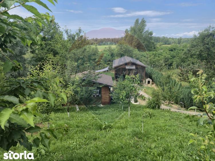 Casa / Vila cu 3 camere de vanzare - 4